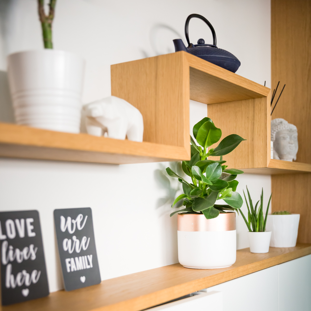 Projet Camille II – Agencement Sur-Mesure Verrière & Meuble de Cuisine à Thorigné